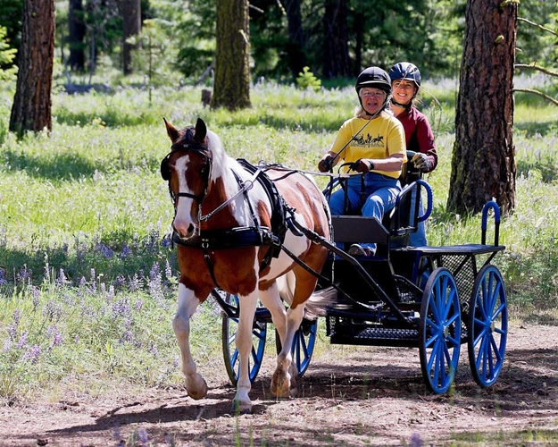 See All There is To Do in CleElum